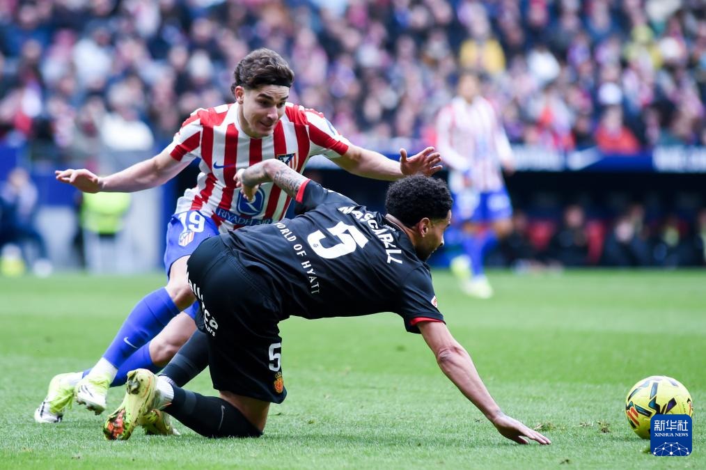 [NBA-湖人] 湖人队友有多差？两数据全靠东契奇支撑，替补加起来不如对手一将